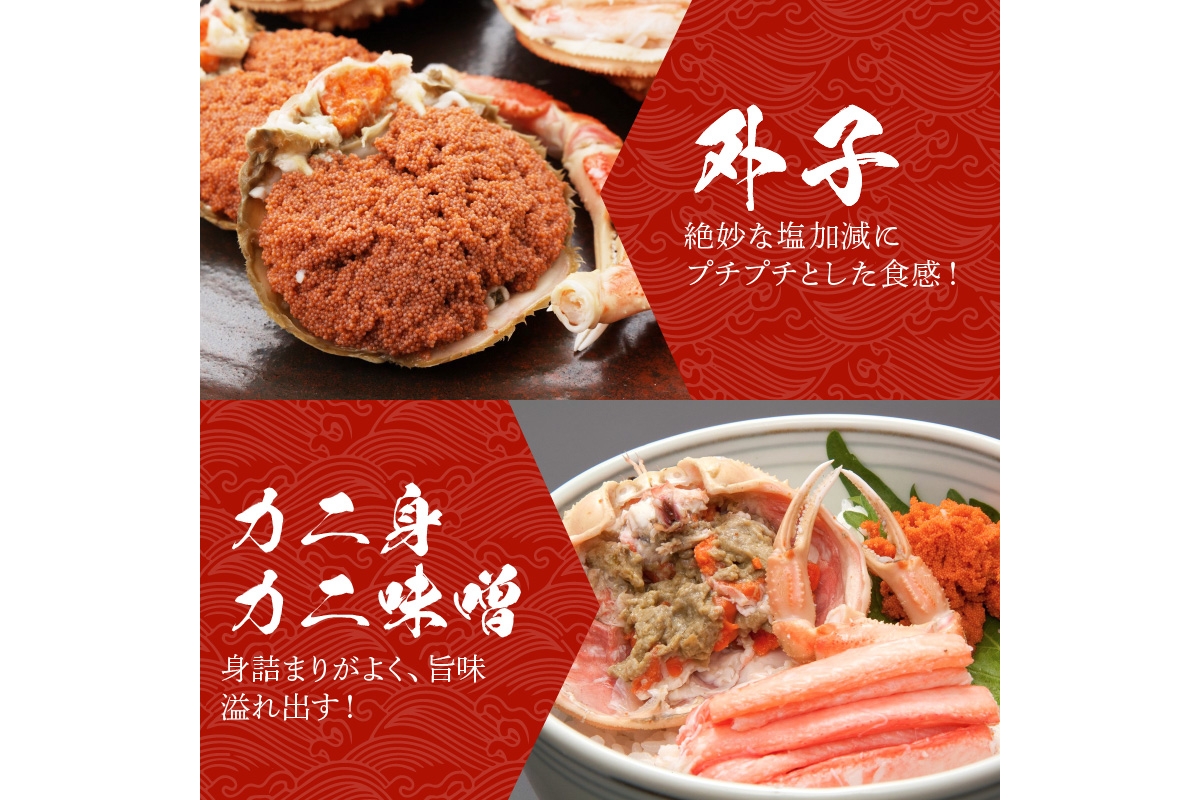 【期間エリア限定！訳あり】厳選！絶品！ 釜茹で セイコ蟹3杯　YK00428