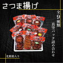 【ふるさと納税】【2025年2月下旬発送】真空パック さつま揚げ(つけあげ)全9種詰合せ 化粧箱入り A8-91【配送不可地域：離島】【6716949】