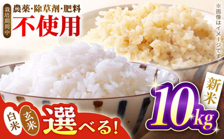 お米 令和7年産 米 10kg 黒川つばくろ農園[AWCB002]