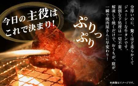 極厚の厚切りタン 1kg （500g×2パック）塩だれ×バジルソテー ／ 厚切りタン 牛タン 牛たん タン たん 牛肉 お肉 肉 厚切り 大阪府 阪南市 冷凍