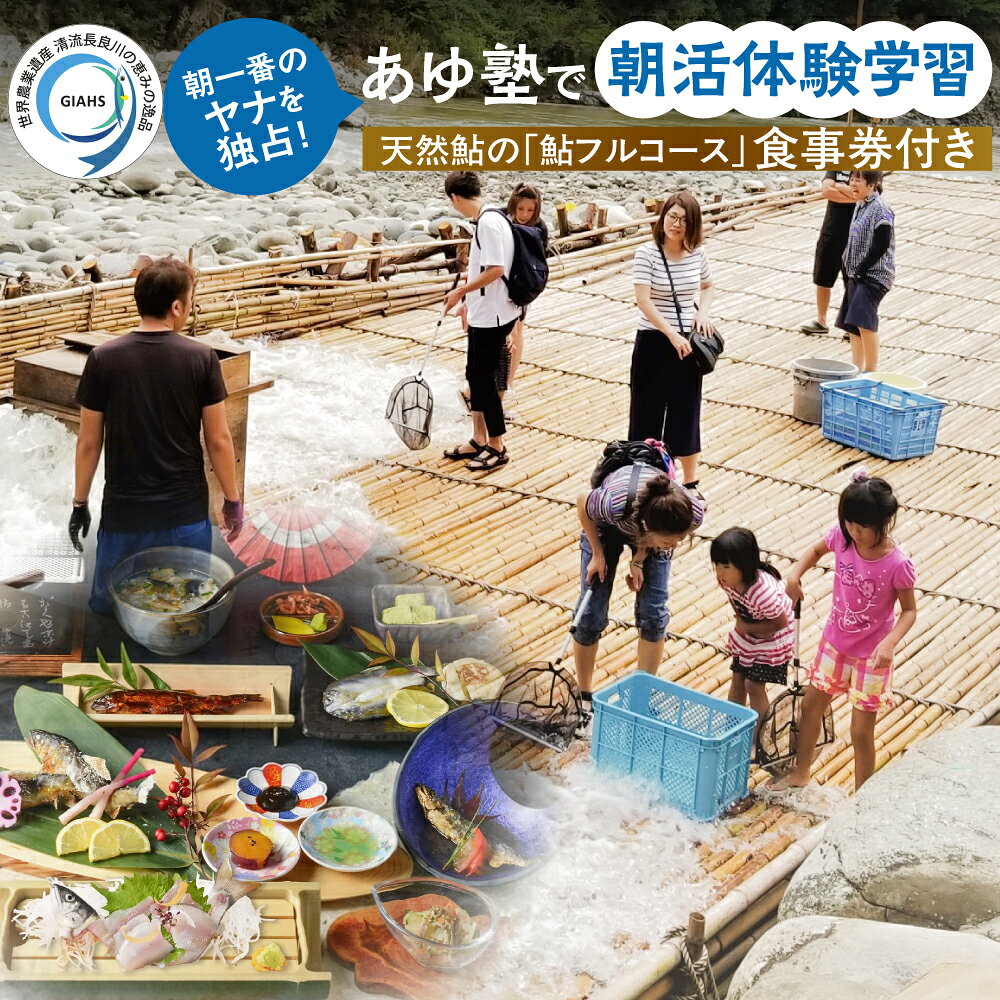 【ふるさと納税】あゆ塾で朝活！「ヤナ体験学習」食事券付 大人 小学生 未就学児 天然鮎料理みやちか 長良川 ヤナ体験 夏休み 自由研究 食事付き 天然鮎 郡上鮎 世界農業遺産 12000円 24000円 60000円 家族で体験 親子体験 郡上市