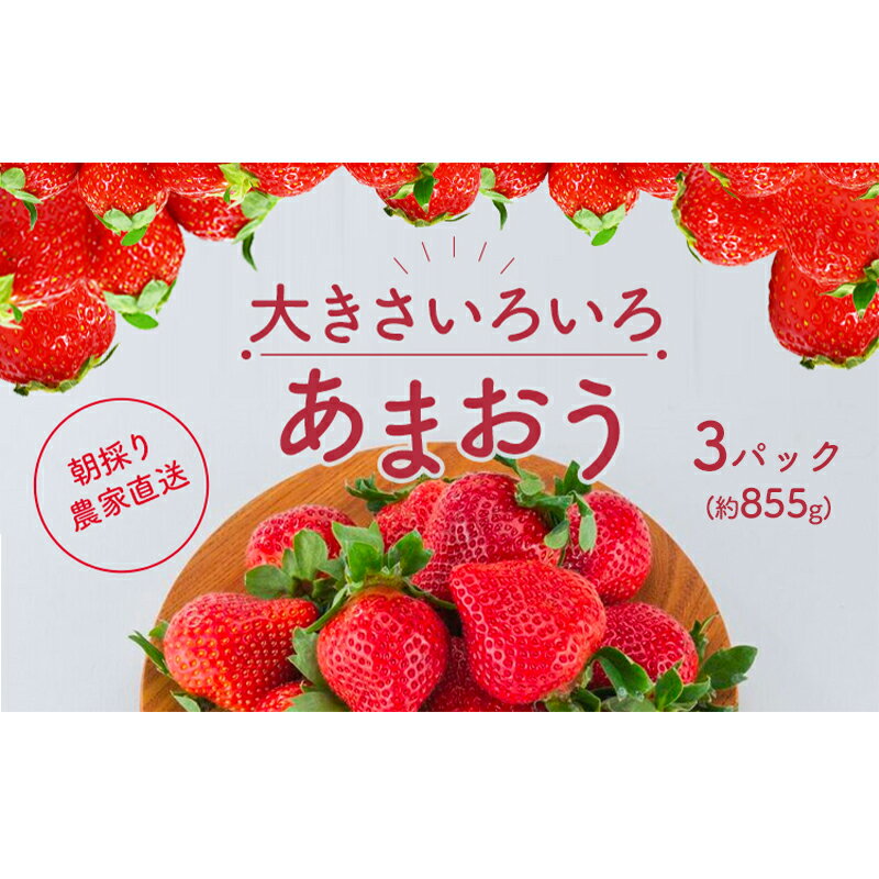 【ふるさと納税】いちご あまおう 2027年2月中旬より発送 サイズ いろいろ 3パック（約855g）朝倉限定 イチゴ 苺 果物 フルーツ 配送不可：離島 　お届け：2027年2月中旬～4月上旬