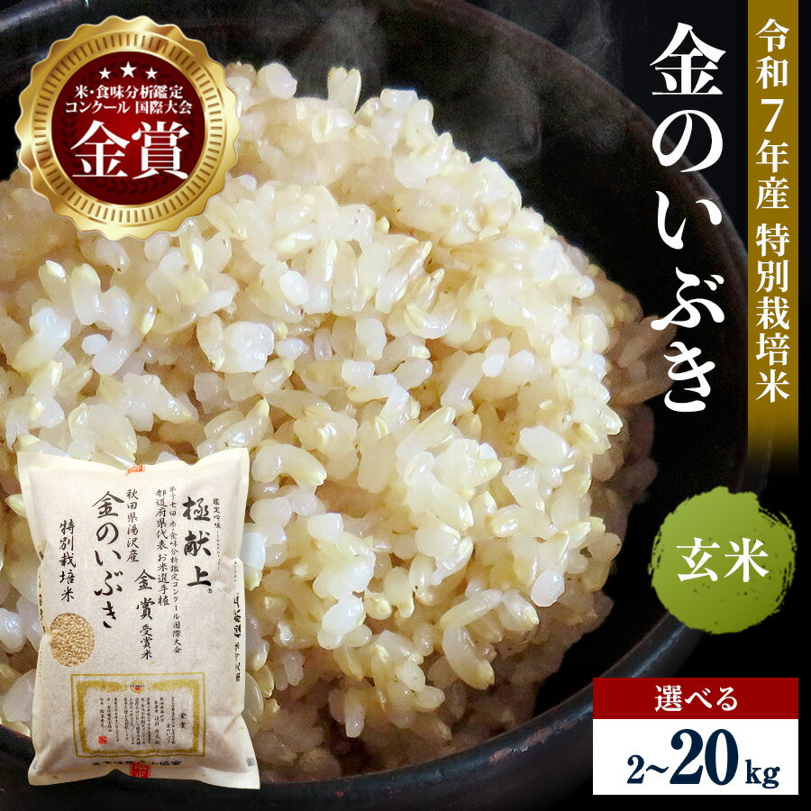 【ふるさと納税】令和7年産米 冷めても美味しい玄米 特別栽培米 金のいぶき 選べる容量 2kg～20kg 玄米 米 農家直送 受賞歴多数 ＼自然由来の漢方栽培／ ふるさと 人気 ランキング【渡部 浩見】[B9-2101]