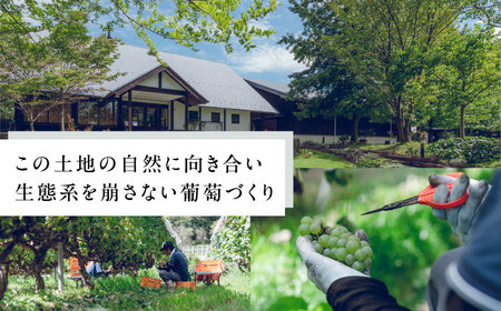 奥出雲葡萄園 ぶどうジュース2本セット 国産 ジュース セット 島根県雲南市/有限会社奥出雲葡萄園 [AICS032]