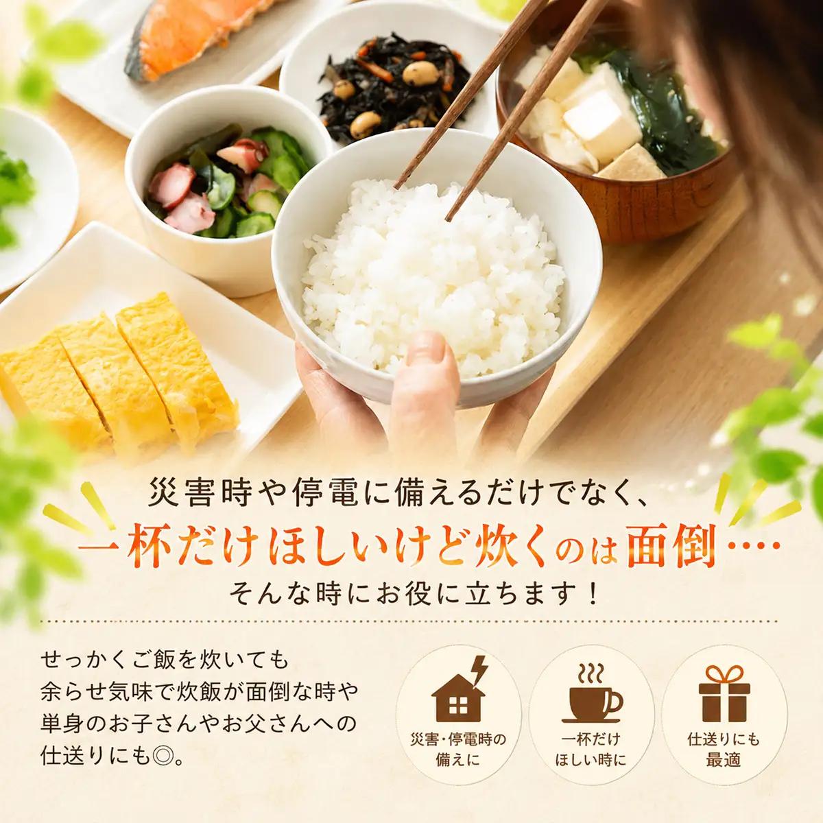 はえぬき パックライス 180g×24食セット 山形県産 パックご飯