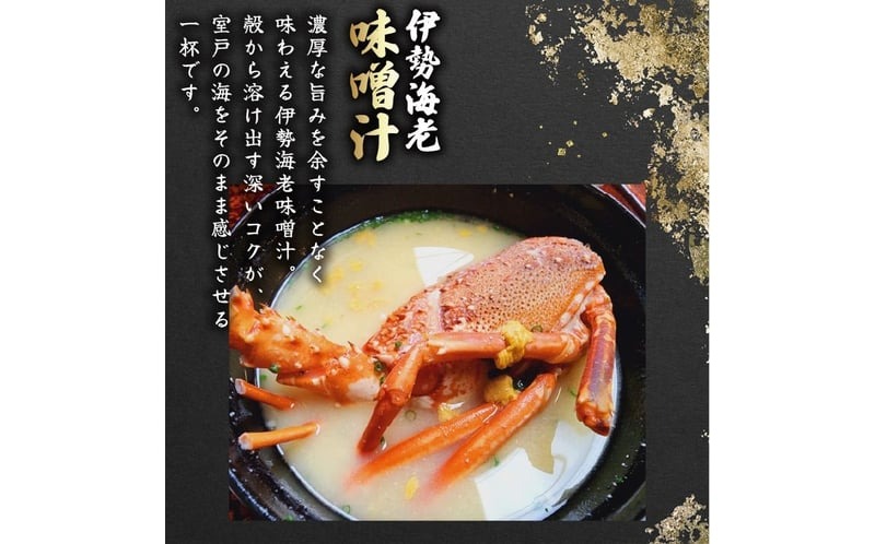 活 伊勢海老 訳あり 500g(1～3匹) 冷蔵 – 活き伊勢海老 訳あり 室戸産 国産 エビ えび 海鮮 魚介 産地直送 プリプリ 味噌汁 刺身 焼き物 汁物 室戸海洋深層水 黒潮 高知県 室戸市 