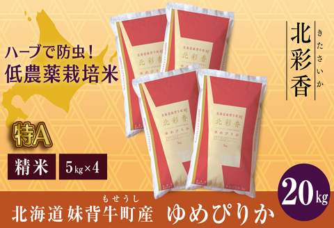 令和6年産 新米予約 妹背牛産 【北彩香（ゆめぴりか）】 白米 20kg（10月発送）