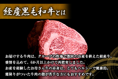 宮崎県産黒毛和牛＜新富育ちGyuGyu・ヒレステーキ（110g×3P）＞合計330g 肉 牛肉 宮崎県産【C436】