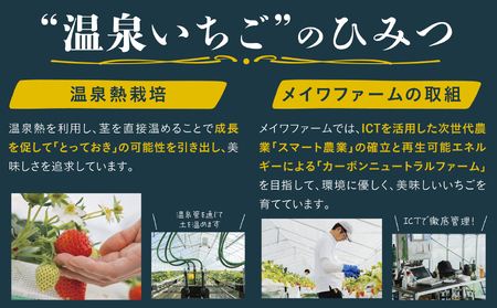 【1173】鳥取県産とっておき「温泉いちご」大きさいろいろ詰め合わせ 1キロ