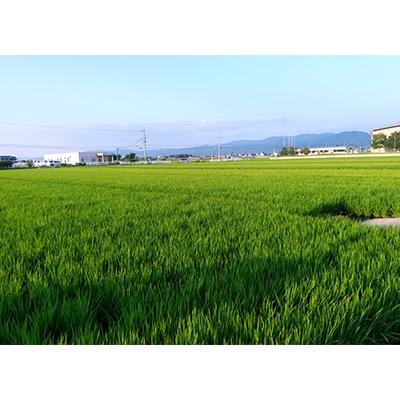 ふるさと納税 田原本町 令和7年産　奈良県田原本町産ヒノヒカリ　玄米11kg |  | 01