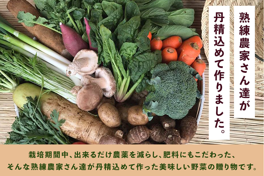 ＜玄米 2kg＞『身体が喜ぶ野菜とお米』詰め合わせ おまかせセット 茨城県産 コシヒカリ 米 お米 ご飯 ごはん 栽培期間中農薬不使用 季節の野菜 セット 微生物農法 EM農法 有機栽培 産地直送 新
