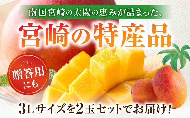 《2026年発送先行予約》【数量・期間限定】宮崎特産品 宮崎県産完熟マンゴー 3L×2玉_M275-002