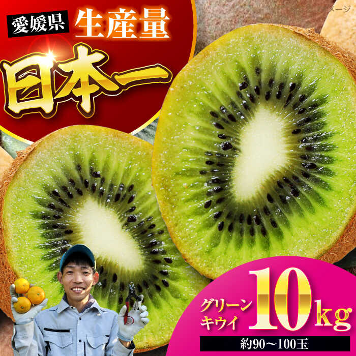 【ふるさと納税】【先行予約】【11月中旬より順次配送】 グリーンキウイ 10kg （約90から100玉） | 人気 おすすめ ランキング おいしい 甘い 大洲市/玉川農園[AGBC008] 30000 30000円 以上