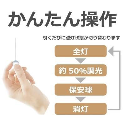 ふるさと納税 名張市 LEDペンダントライト「RV60049」[53940237] |  | 01