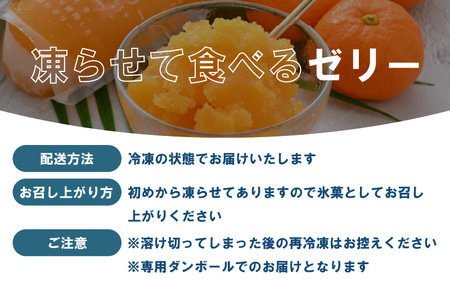凍らせて食べるゼリー 詰め合わせ 4種 12個入 [m01-a008]