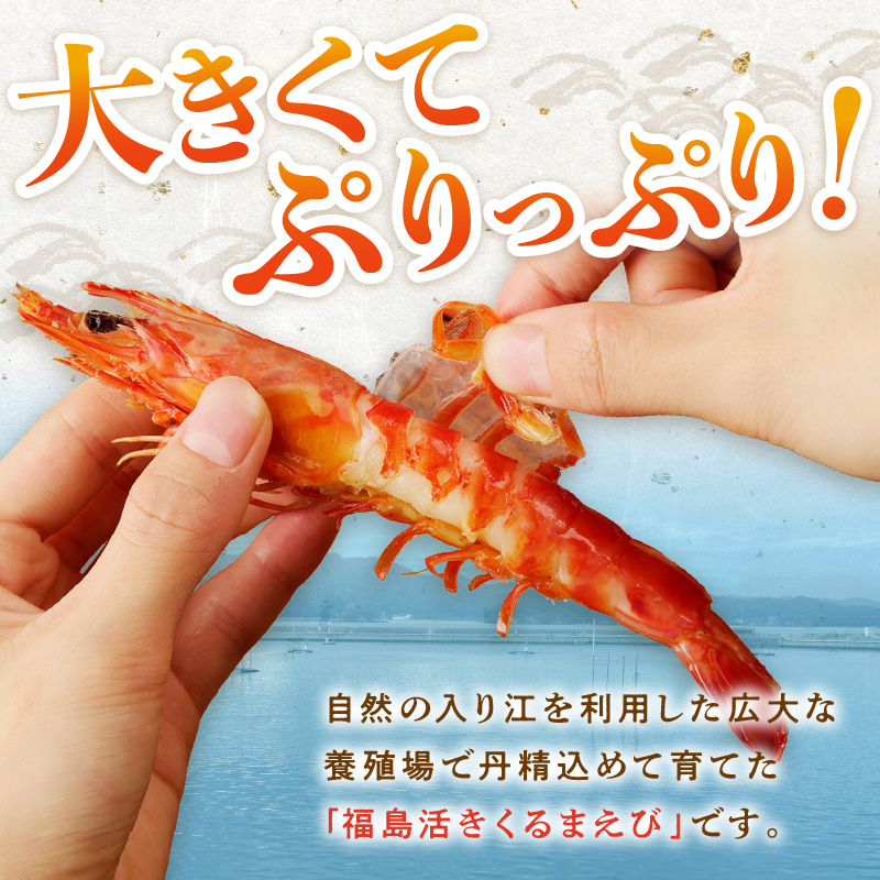 くるまえびみそ漬け【A8-015】 くるまえび 味噌漬け みそ漬け 新鮮 養殖 自家製味噌 逸品