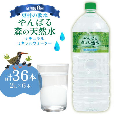 【ふるさと納税】【定期便6回】東村の軟水【やんばる 森の天然水】ナチュラルミネラルウォーター　2L×6本 天然水 ミネラルウォーター 水 ソフトドリンク 飲料水 軟水 東村の水 天然水 お水 ヤンバルの水 やんばる ヤンバル ペットボトル 2リットル 防災 国産 長期保存 備蓄