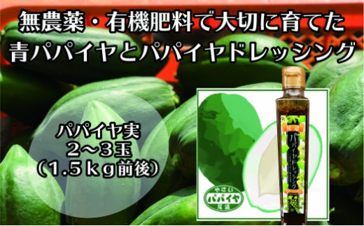 
                  【先行予約】無農薬・有機肥料で大切に育てた パパイヤ 2-3玉1.5キロ前後（栽培期間中農薬不使用）と パパイヤドレッシングのセット 2026年9月発送
                