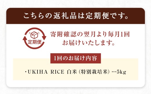 【3ヶ月定期便】 みずほファーム UKIHA RICE 白米 5kg?3回 （特別栽培米） 計15kg ヒノヒカリ ひのひかり 精米 米 こめ コメ お米 おこめ 白米 精米 ごはん ご飯 お中元 お