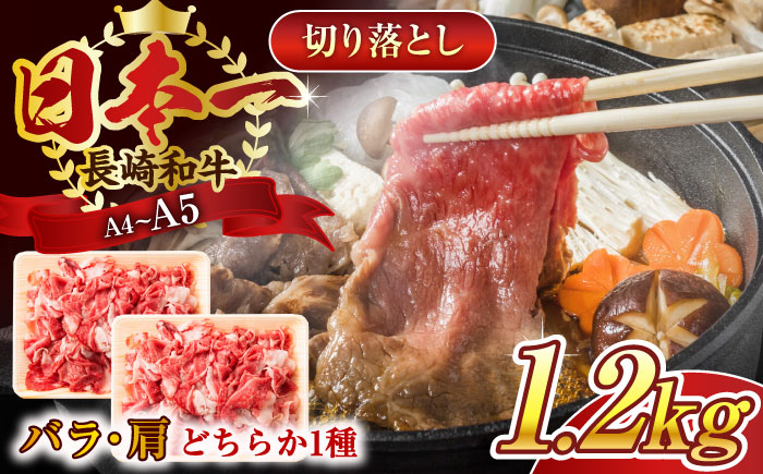 
【A4～A5】長崎和牛切り落とし　1.2kg(600g×2p）【株式会社 MEAT PLUS】 [QBS007]
