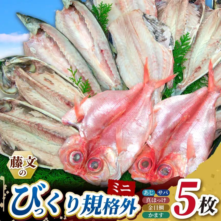 藤文の「びっくり規格外ミニ」
