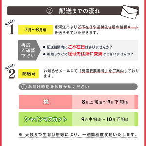 【先行予約】令和8年産 フルーツ 2回 定期便 桃 シャインマスカット 秀品 山形県産 【2026年8月上旬頃から発送開始予定】※配送不可 沖縄・離島　020-B-RF008