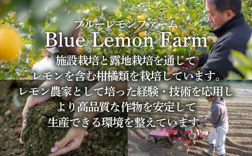 愛媛　ブルーレモンファームのごくしぼりみかんジュース　1L　3本