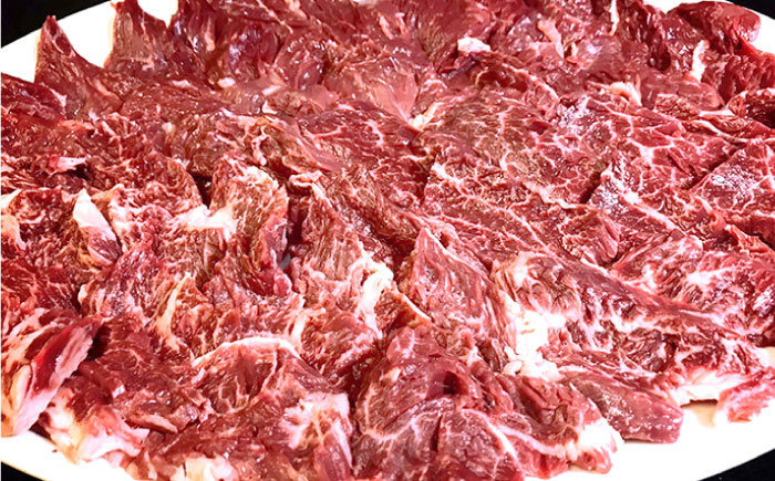 長崎牛 サガリ 肉 600g 西京噌漬け / 南島原市 / はなぶさ [SCN014]