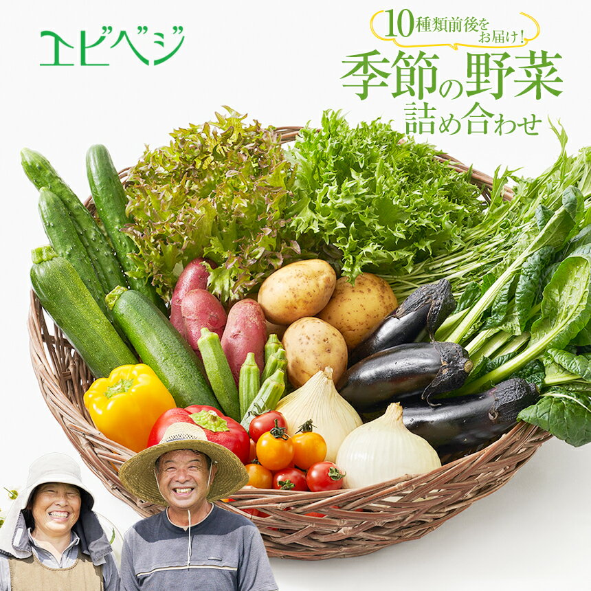 【ふるさと納税】 野菜 エビベジ季節の野菜詰め合わせ（小） (10種類前後) | 旬 野菜 送料無料 栃木県 下野市 特産