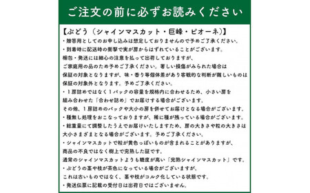 【２０２４年発送】先行予約！九州福岡フルーツ王国八女　大粒入りシャインマスカット　約１．４ｋｇ【数量限定】＜配送不可：北海道・沖縄・離島＞　072-143