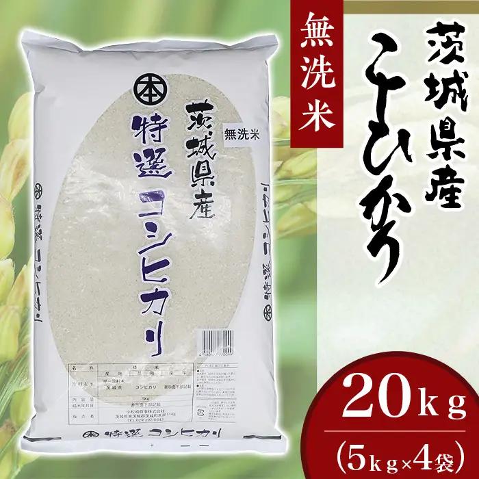 こしひかり 無洗米 20kg 茨城県産 令和7年産【小松崎商事】728