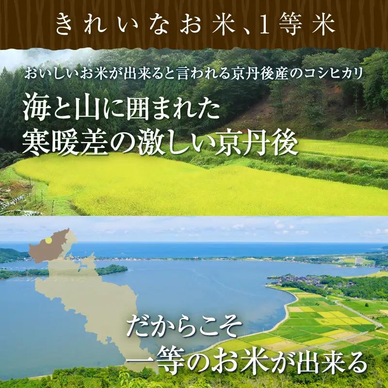 丹後コシヒカリ1等米令和7年産 5kgコシヒカリ