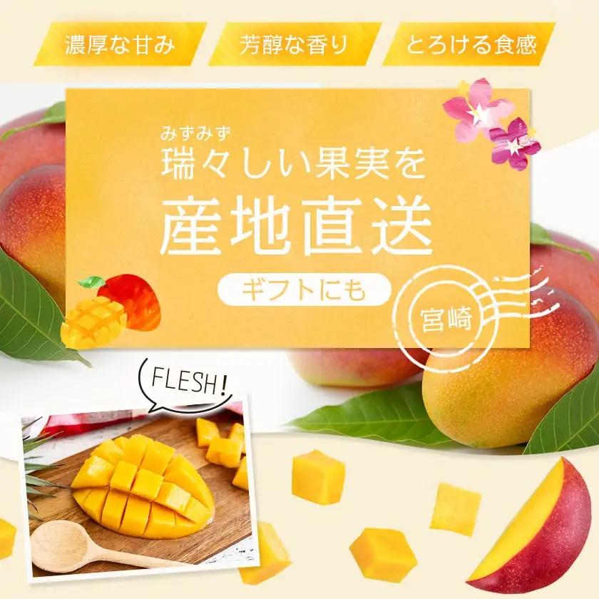 【先行受付!】宮崎完熟マンゴー2～3玉(都城産)≪2027年6月～7月頃順次お届け≫〔AC-3303〕_(都城市) 宮崎マンゴー A等級 2玉～3玉 2Lサイズ～3Lサイズ MANGO フルーツ 化粧
