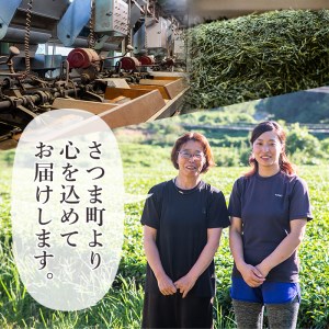 s251 有機深蒸煎茶！上級煎茶さつま茶日和270g(90g×3袋)【熊田製茶】