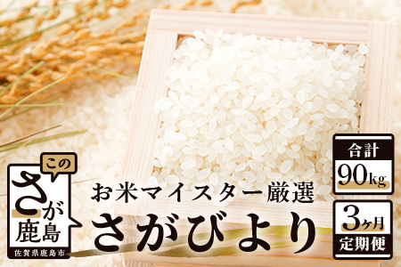  《 3ヶ月 毎月お届け 》 佐賀県産 さがびより 白米 30kg 定期便 N-4