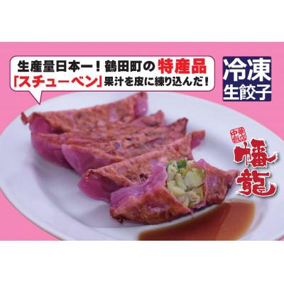ふるさと納税 鶴田町 スチューベン餃子　約23g×40個