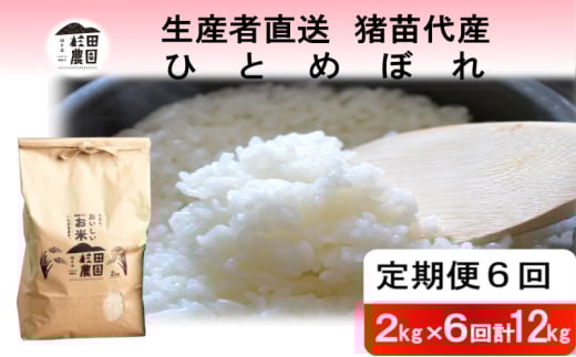 【定期便 6回】【令和7年度産】 米 ひとめぼれ 12kg(2kg×6回) 白米 精米 | 米 こめ ごはん 2キロ 国産米 ブランド米 福島県産 農家直送 産地直送 生産者直送 杉田農園  家庭用 小分け 精米済み 猪苗代町