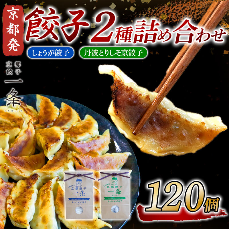【ふるさと納税】 餃子2種詰め合わせセット しょうが餃子 ＆ 丹波とりしそ京餃子 120個 冷凍 ぎょうざ ギョウザ ギョーザ しょうが 生姜 豚肉 簡単調理 惣菜 絶品 おかず お子様 家族 餃子 人気餃子 簡易包装餃子 冷凍生餃子 京都 井手町 京都餃子一条 【232】