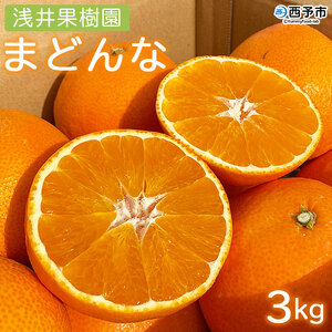 紅まどんなと同品種！＜浅井果樹園直送 まどんな 約3kg＞ 紅マドンナ 愛媛果試第28号 柑橘 果物 フルーツ オレンジ 食べて応援 特産品 産地直送 西宇和産 愛媛県 西予市【常温】『2025年12月中旬～12月下旬迄に順次出荷予定』