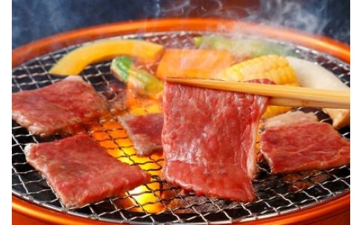 
※HNP-12飛騨牛焼肉用もも・かた(赤身)肉400g
