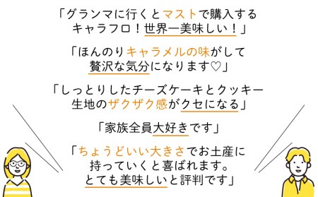 【価格改定予定】6カ月定期便 チーズケーキ キャラフロ 6本入り 2箱セット キャラメル 濃厚 スイーツ 洋菓子 食べきり 贈答 母の日