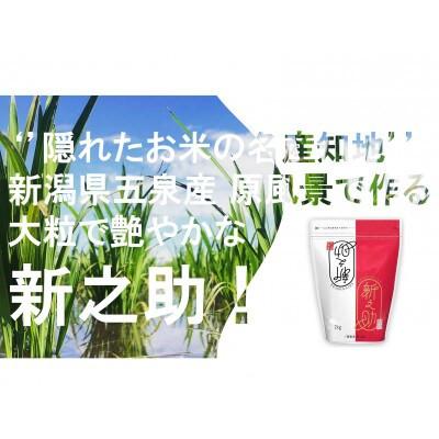 ふるさと納税 五泉市 【2ヵ月毎定期便】新之助 精米 5kg(5kg×1袋)全3回