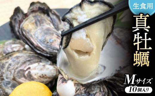 《Mサイズ10個入り:約41～60g/個》生食用真牡蠣　深日オイスターファーム直送　専用ナイフ付き【1603239】