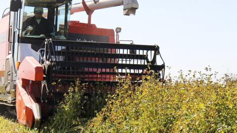 ＜お歳暮熨斗付＞茨城県産 常陸そば乾麺ご贈答用つゆ付セット 乾麺200ｇ×6袋　麺つゆ300ml×1本 そば 常陸そば 熨斗 熨斗付き お歳暮 御歳暮[BE033sa]