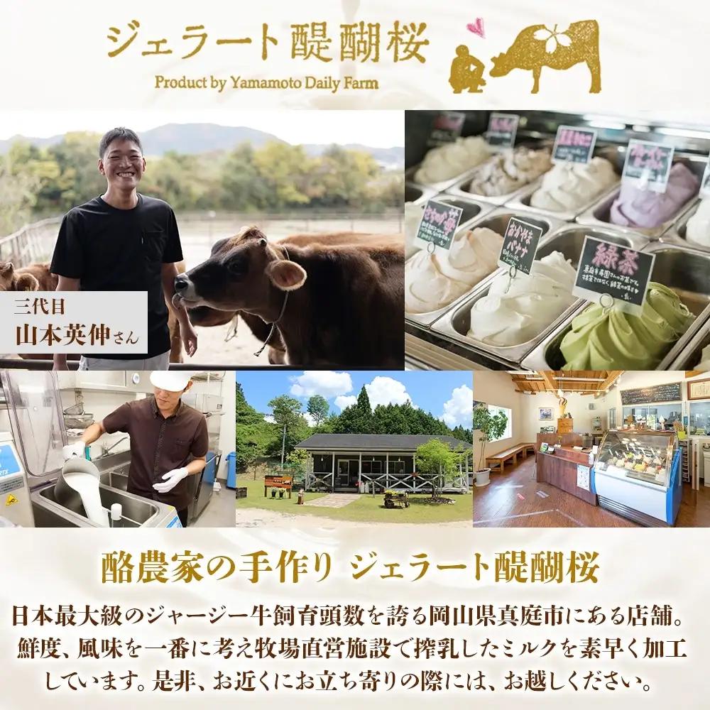 【ふるなびWEEK対象】【ジェラート醍醐桜】恋するジャージーPremium3種 （ゴールデンミルク＆さちのか苺＆ピオーネ）計12個セット / 岡山 真庭 【nhss043-01-f】
