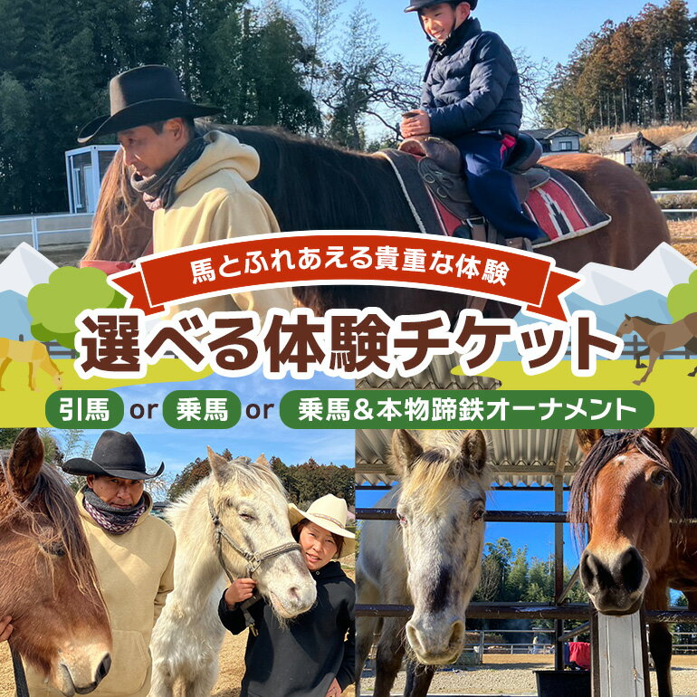 【ふるさと納税】★ROCKY★ 選べる体験チケット (引馬体験チケット 10分 / 乗馬体験チケット 30分 / 乗馬体験チケット＆本物蹄鉄オーナメント) 体験 チケット 券 引馬 乗馬 本物 蹄鉄 オーナメント 馬 うま ウマ 蹄 アクセサリー 子供 大人 初心者 経験者 歓迎 92-SKU-A