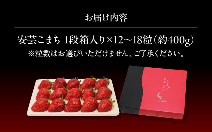 【贈答用にも】何もつけずにそのまま食べてみてほしい苺です。  2万円