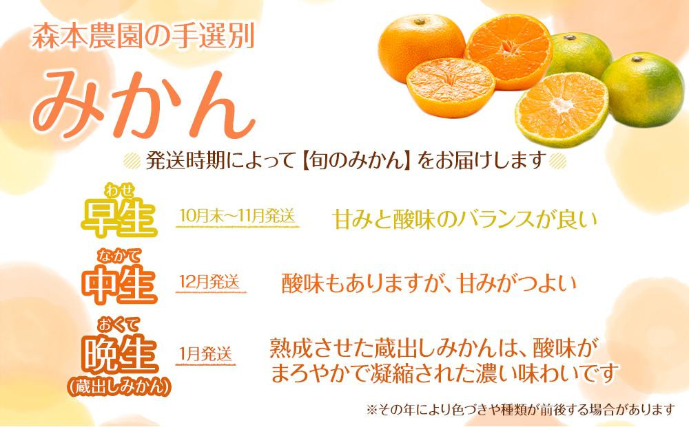 贈答用 森本農園の手選別 厳選みかん 約10kg 和歌山県産 2S~2Lサイズ混合 ［北海道・沖縄・離島配送不可］［2025年11月上旬から順次発送］［RN87］