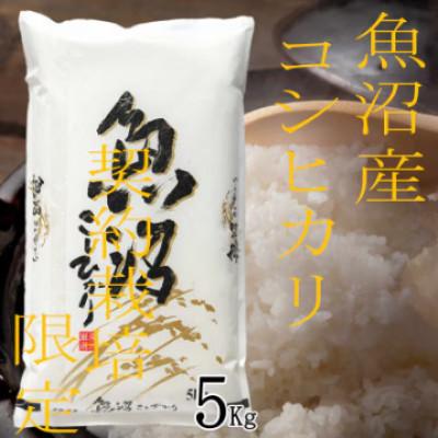 ふるさと納税 魚沼市 【令和8年産　先行受付】【雪国逸品　精米5kg】越後魚沼郷　魚沼産コシヒカリ