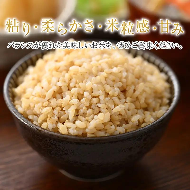 【令和7年産】いちほまれ 玄米 5kg×2袋（計10kg）《新鮮な高品質米をお届け！》／ 福井県産 ブランド米 ご飯 [aw064-b013]